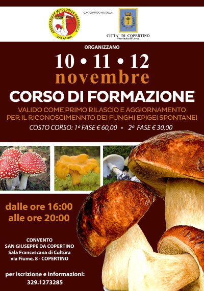 CORSO DI FORMAZIONE PER IL RICONOSCIMENTO DEI FUNGHI EPIGEI SPONTANEI (10-11-...