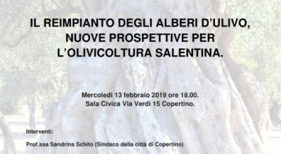 IL REIMPIANTO DEGLI ALBERI D'ULIVO NUOVE PROSPETTIVE PER L'OLIVICOLTURA SALEN...